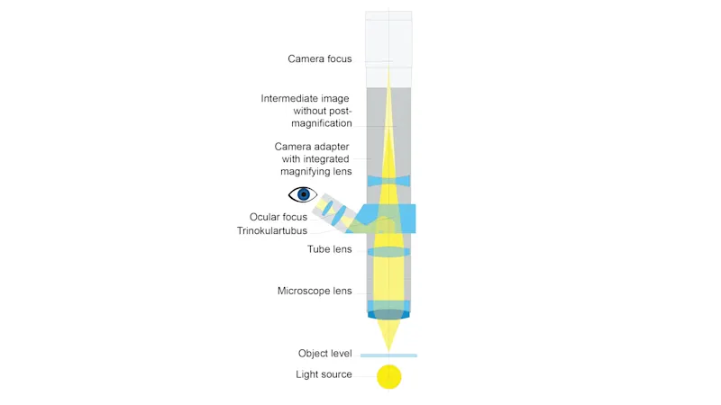 デジタルカメラと顕微鏡の接続