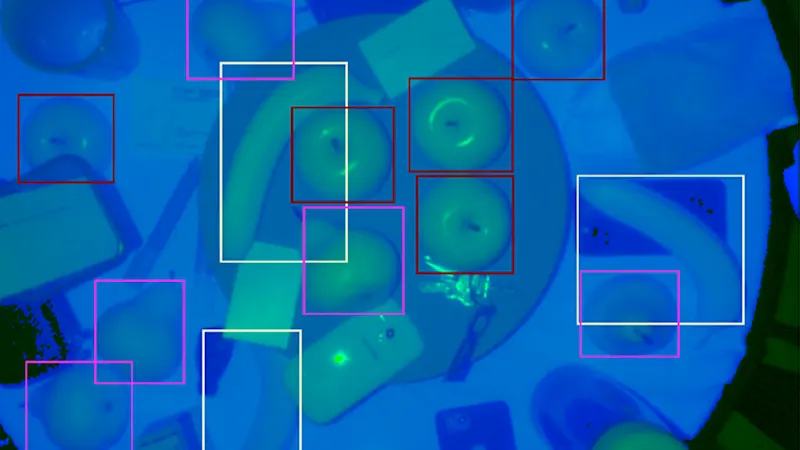 Training of the neural network
