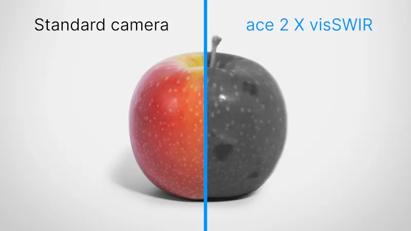 Apple pressure points in visible light and non-visible light (SWIR)