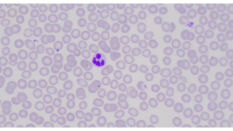 Immagine con regolazione del colore magenta nell'Operatore a 6 Assi