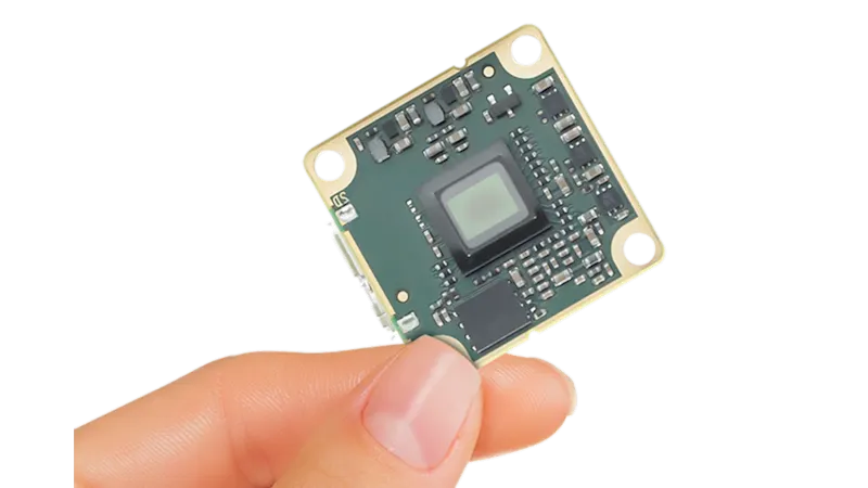 Bareboard Basler dart