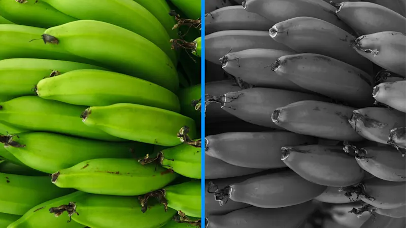 Decision #2: monochrome or color camera?