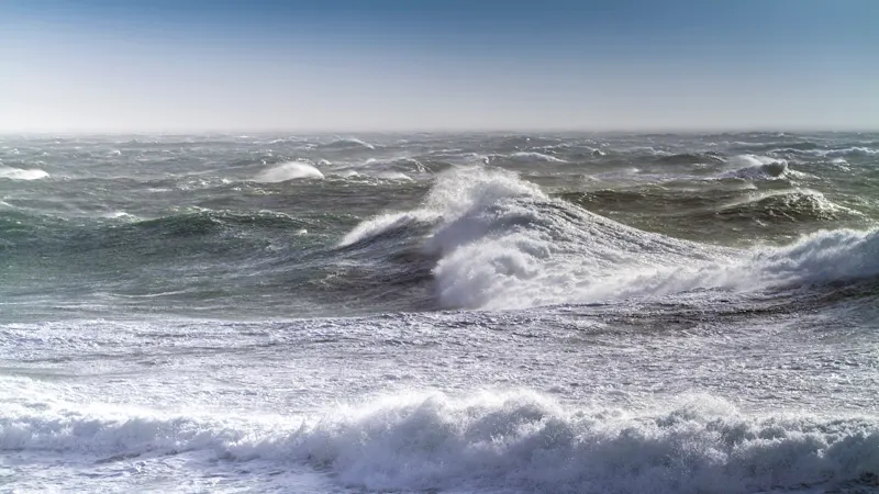 HDR cameras (High Dynamic Range) can capture images with a wide dynamic range and therefore deliver precise images even in the challenging light conditions at sea
