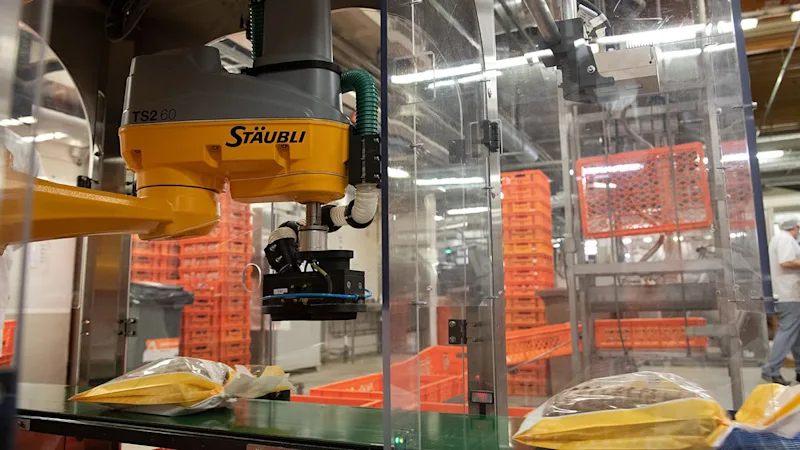 3D vision-guided pick and place robot