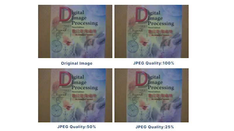 Bildvergleich: Selbst bei 50 % und 25 % JPEG-Qualität bleibt die Klarheit für die visuelle Inspektion akzeptabel.