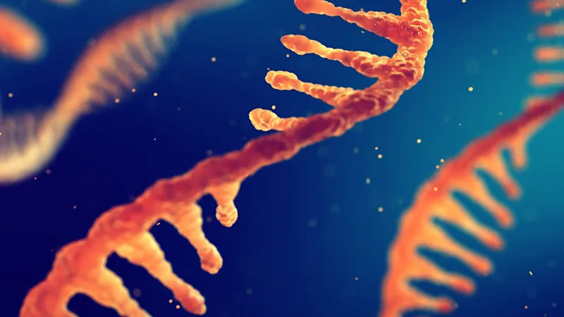 Precise gene sequencing with CoaXPress 2.0 interface