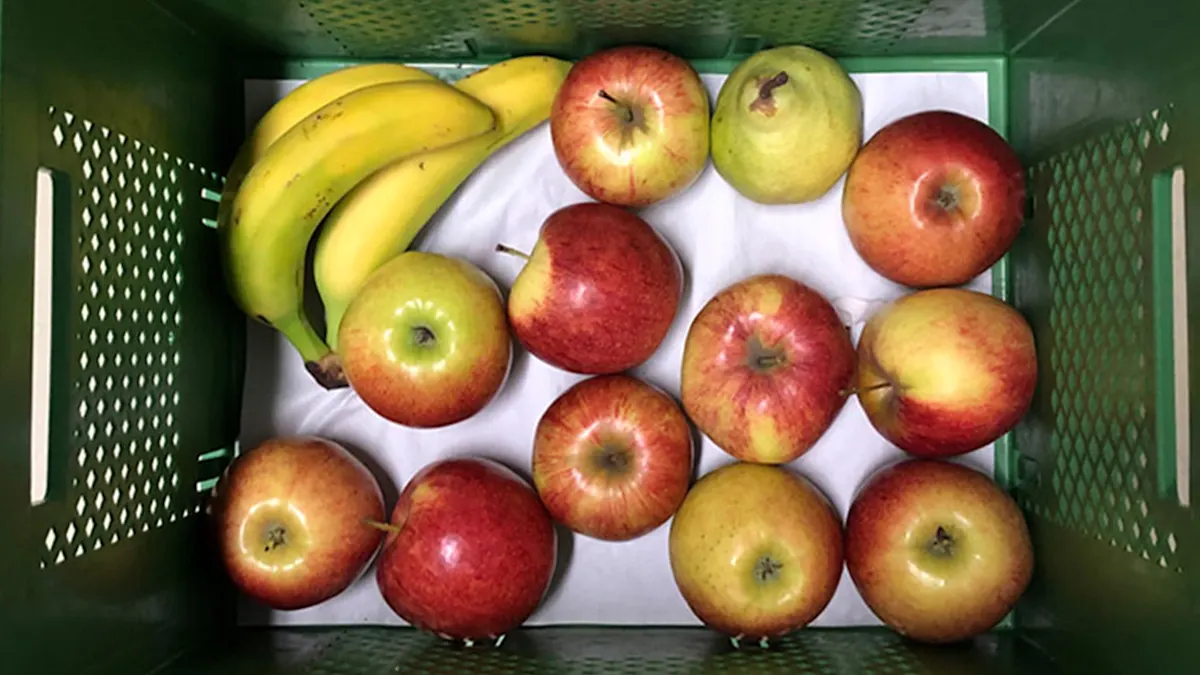 플라스틱 상자 속 과일