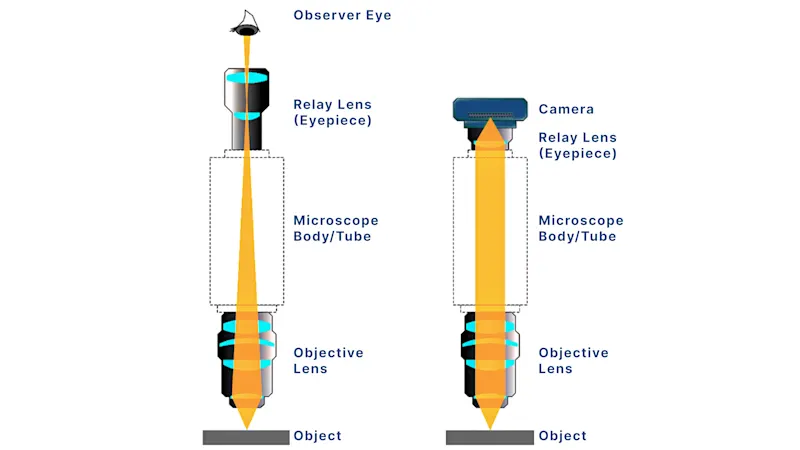 Eyepiece Observation vs. Camera-Based Imaging