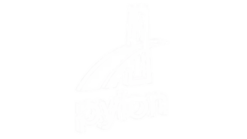 Immagine del logo di pylon