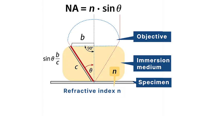 NA = n ∙ sin 𝜽 (where n is the refractive index: for air, n = 1.0; for immersion oil, n ≈ 1.5)