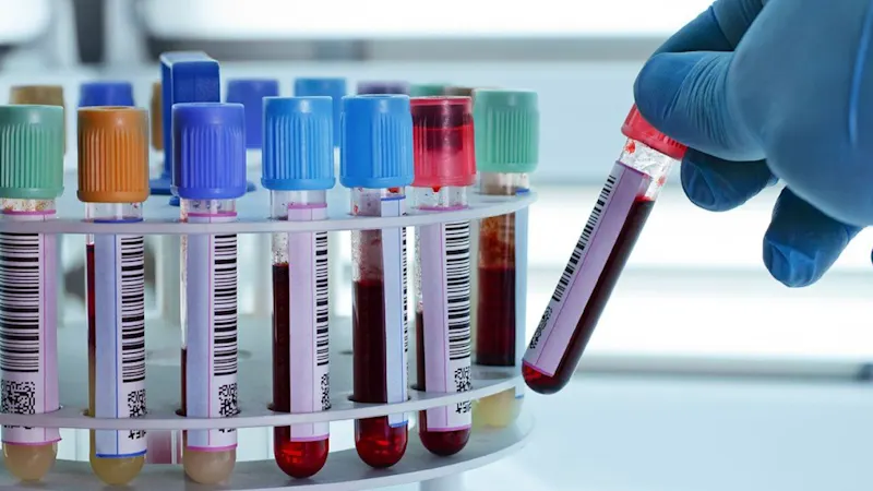 our-guide-towards-cutting-edge-lab-with-vision-2