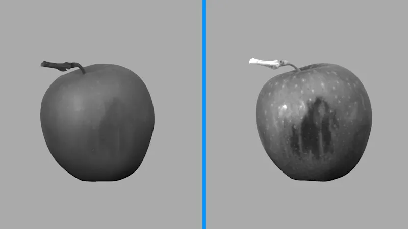 View below the surface - bruise on an apple at 1000 nm (NIR) compared to 1350 nm (SWIR)