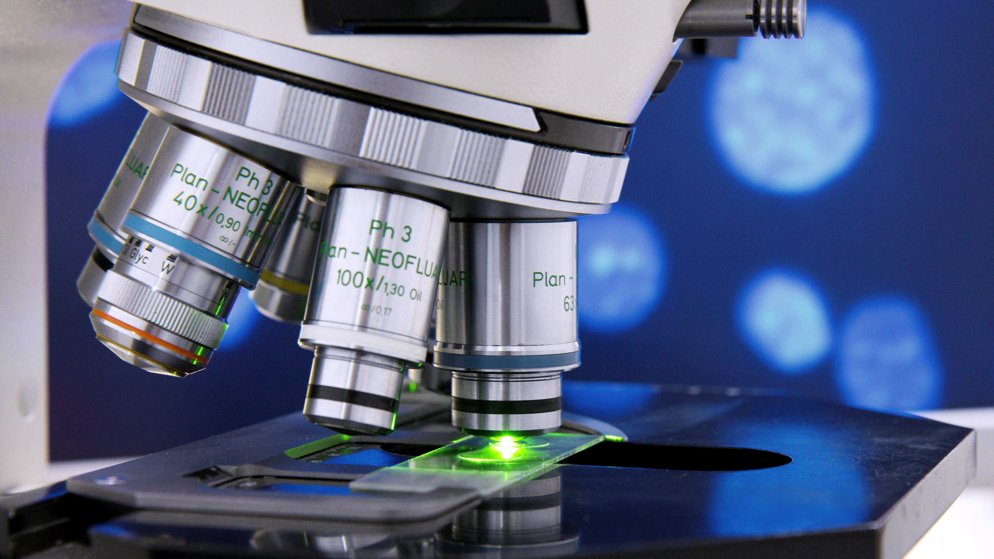 Cameras for fluorescence microscopy