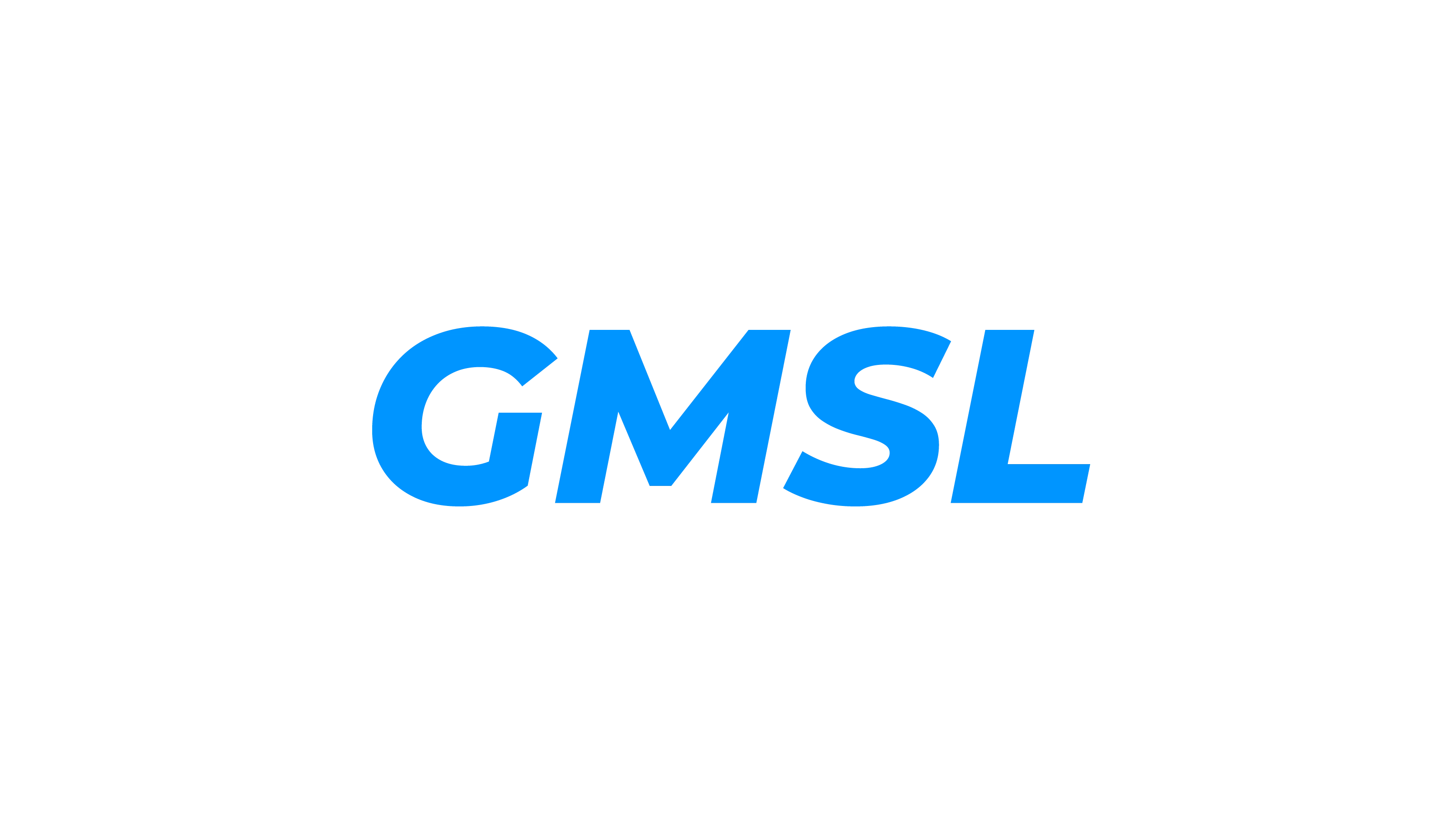 GMSL 인터페이스