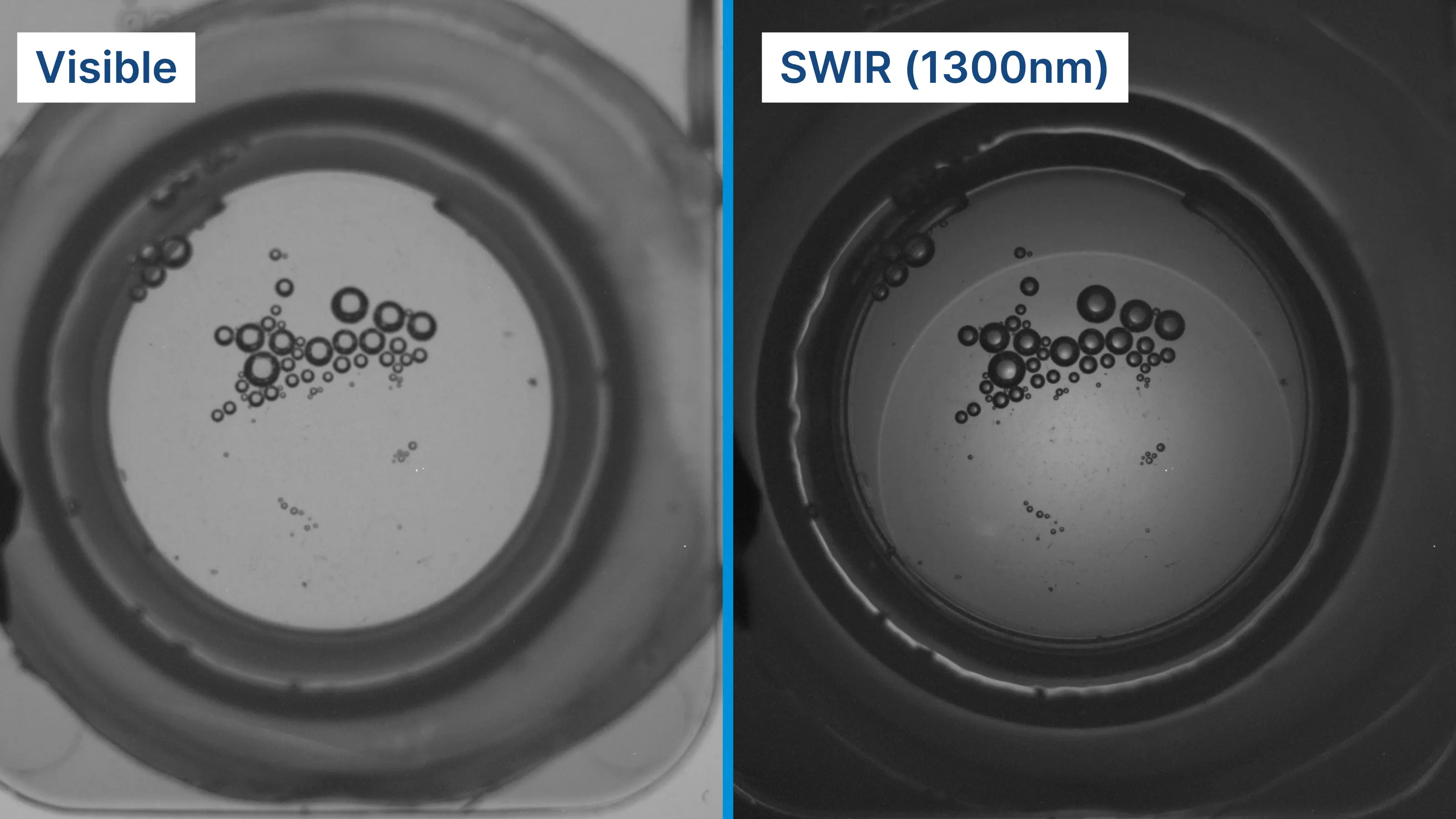 Under visible light, the transparent lens is nearly invisible against its background. At 1300 nm SWIR illumination, the lens becomes clearly defined, enabling precise detection and inspection.