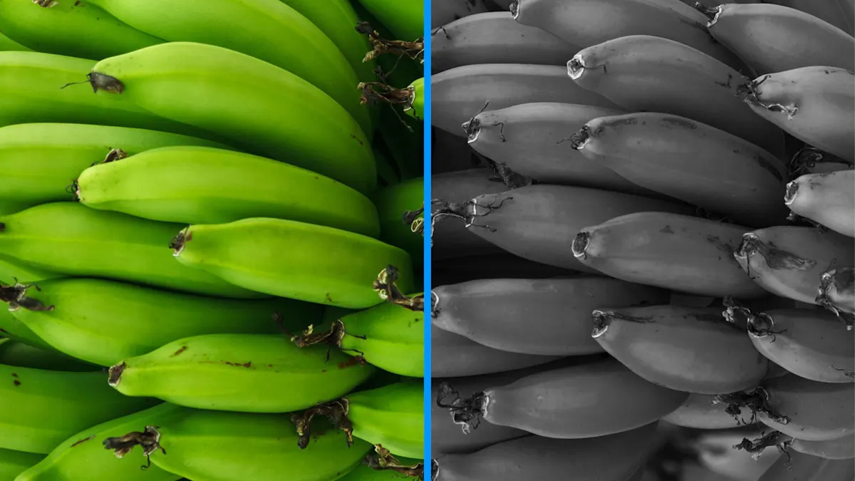 Decision #2: monochrome or color camera?