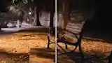 Resolution and pixel size
