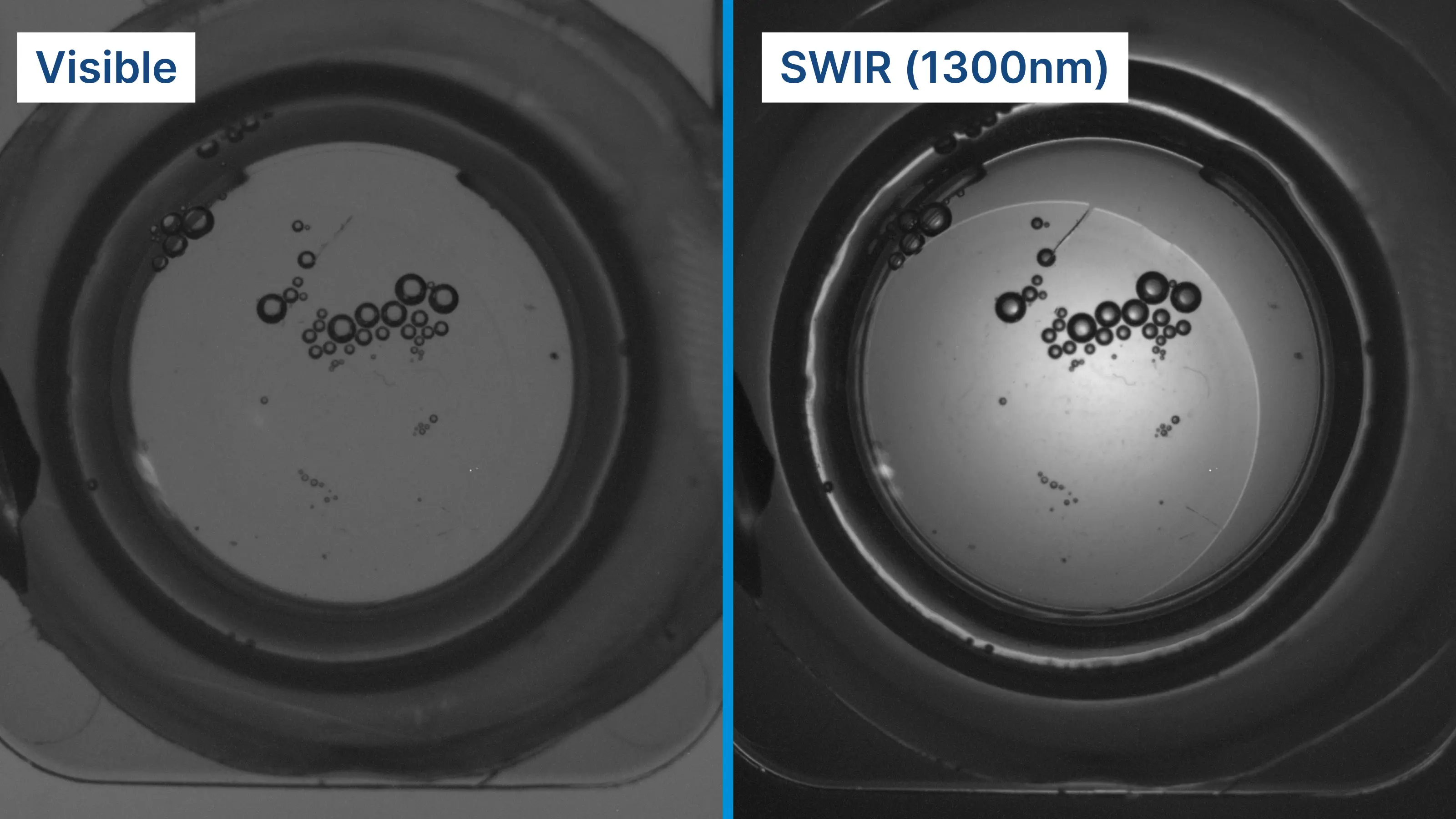 在1300 nm短波红外照明下，接触镜表面的划痕与缺陷清晰可见，显现在标准可见光下无法捕捉的细节。
