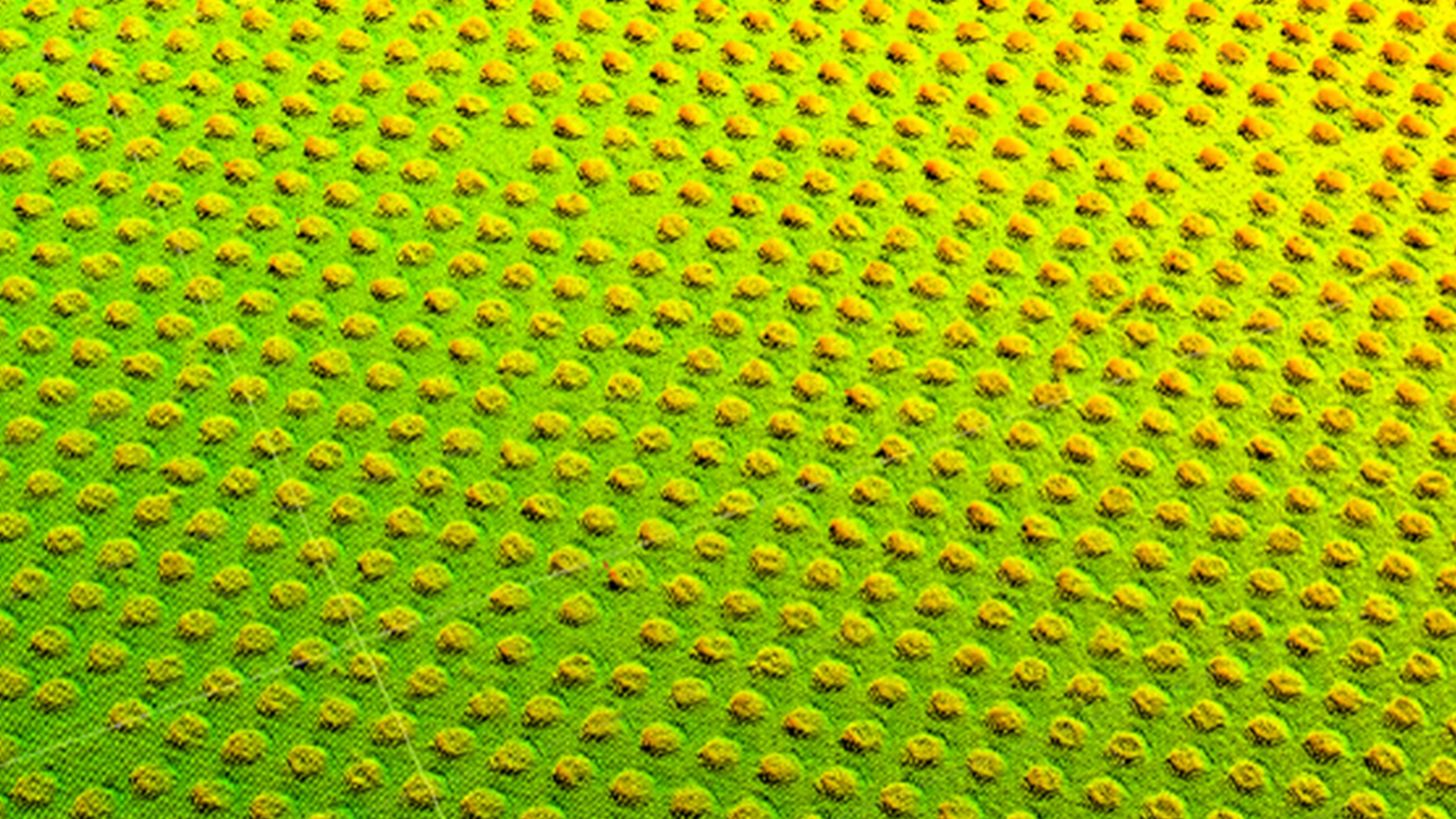 3D height map of BGA solder balls showing coplanarity and surface profile variations