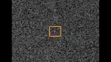 Blinking pixels: example of an image artifact which is immediately noticed by the human eye.