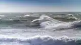 HDR cameras (High Dynamic Range) can capture images with a wide dynamic range and therefore deliver precise images even in the challenging light conditions at sea