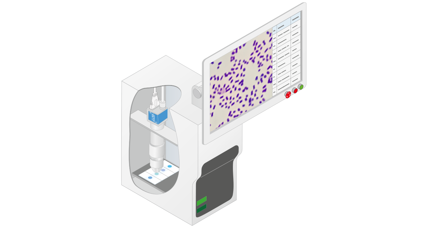 Kompakte CNN-basierte Bakterien-Klassifizierung