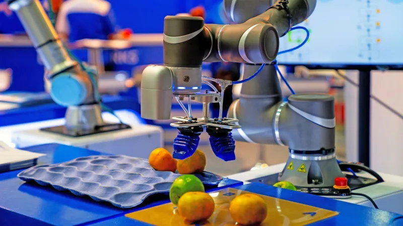 Робот сортирует фрукты