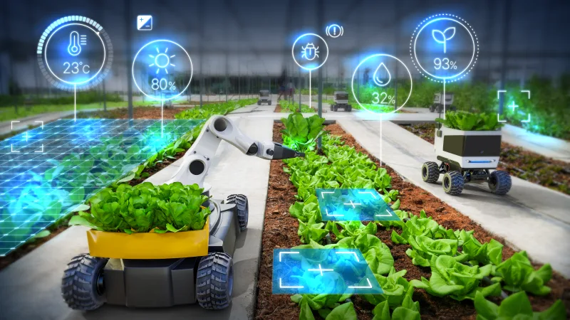 Cameras for efficient agriculture