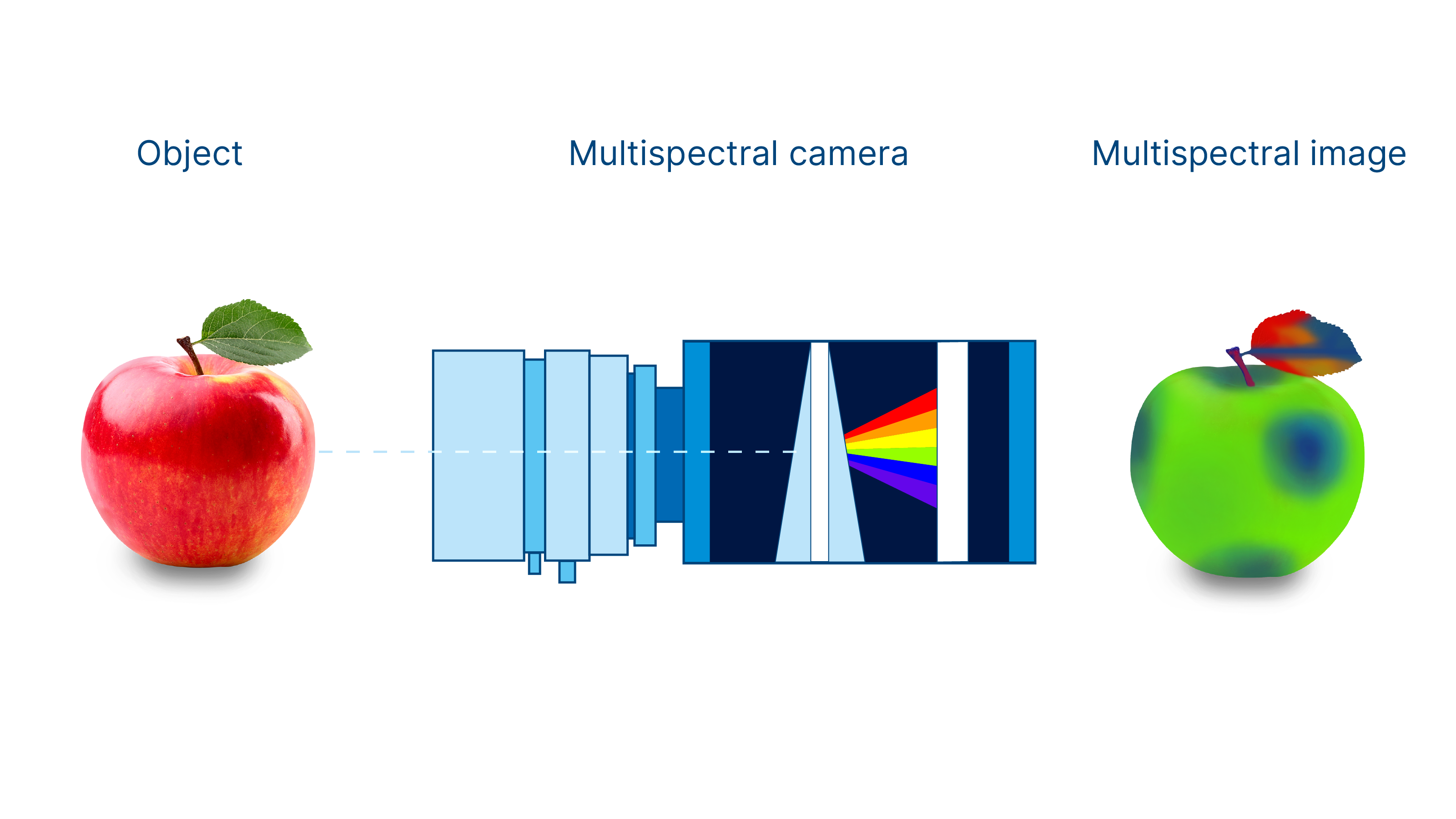 Multispectral cameras with optical elements 