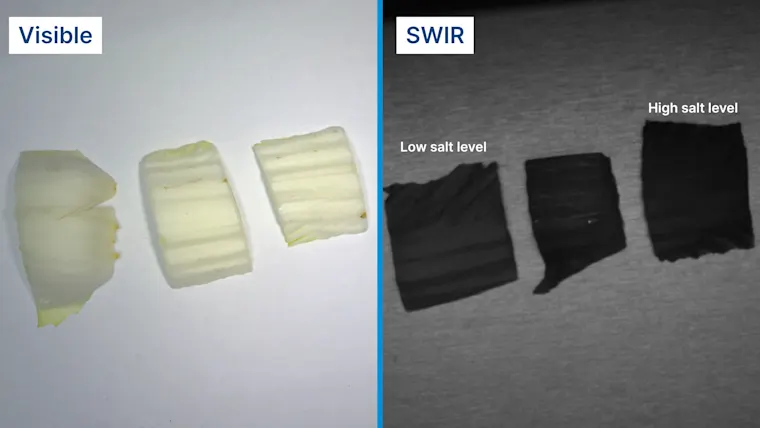 Salt Level Inspection