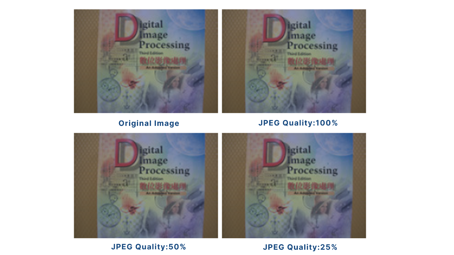 Bildvergleich: Selbst bei 50 % und 25 % JPEG-Qualität bleibt die Klarheit für die visuelle Inspektion akzeptabel.