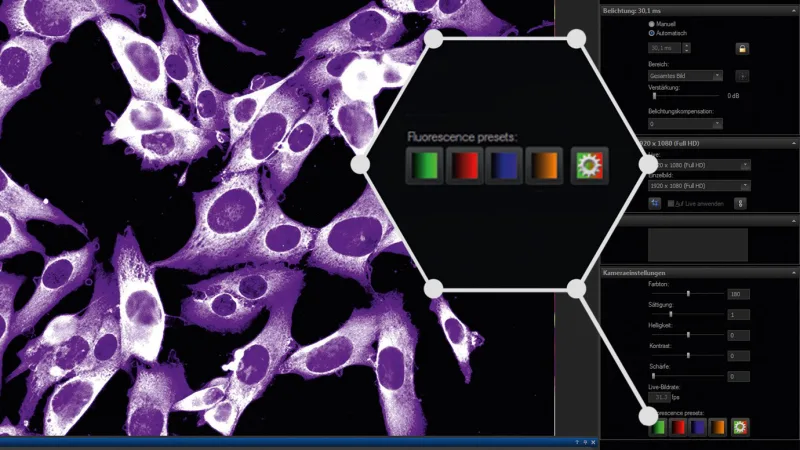 ﻿Die Basler Mikroskopie-Software bietet Farbvoreinstellungen für die gängigsten Fluoreszenzmarker