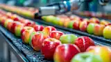 Automated quality control of agricultural products in dirty and damp conditions succeeds with an IP67 vision system