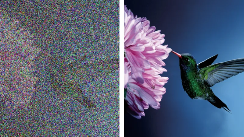 高感光度影像處理相機：蜂鳥與花朵