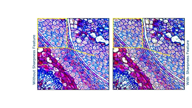 The sharpness control of the Basler Microscopy Software ensures optimized images without loss of speed