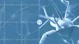 Deep Learning in computer vision applications