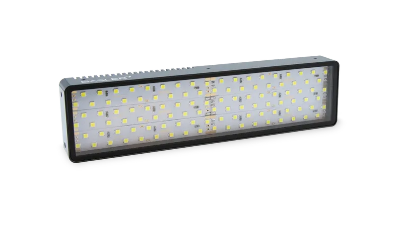  Basler Standard Light Bar-45x400-White 