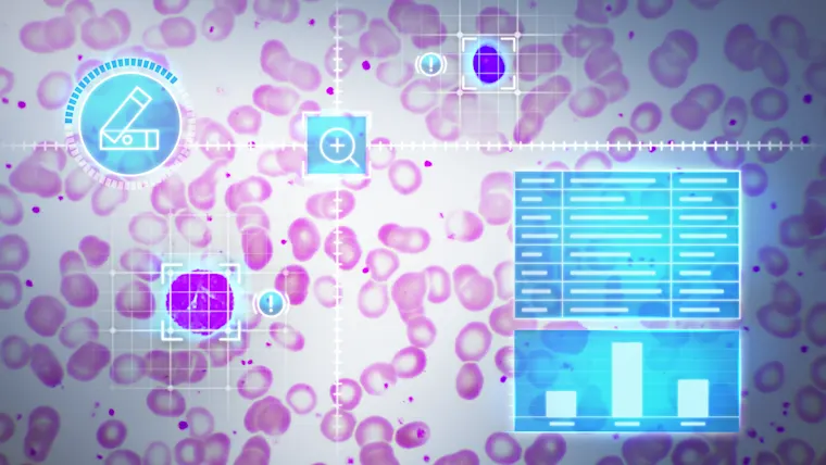 Vision solutions for microscopy