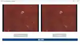 Ketchup Comparison