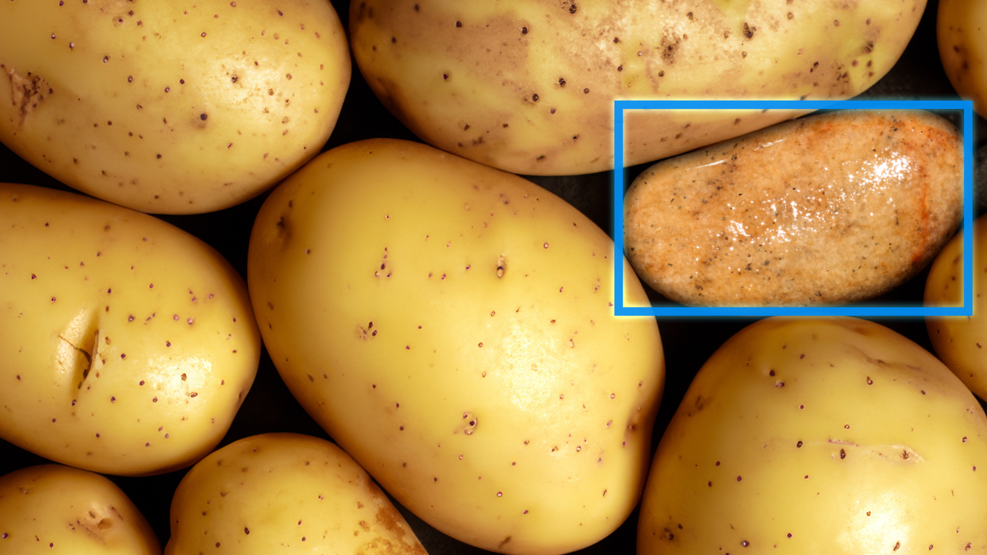 Dans la gamme spectrale SWIR, les plus petites différences entre le produit et l’impureté deviennent claires