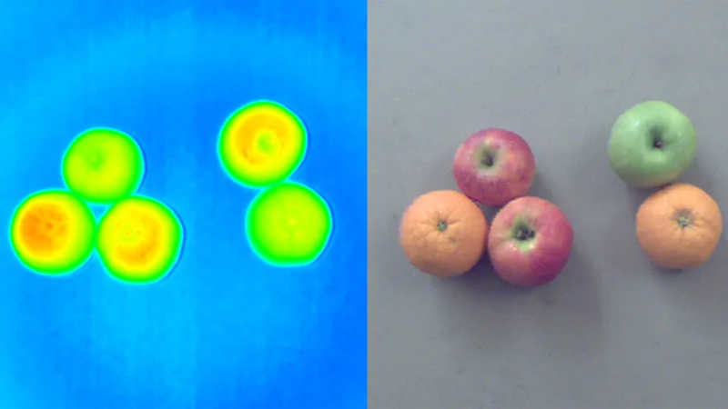 在区分形状相似物体时，RGB颜色显示可提高识别精度