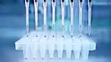 Precise gene sequencing with CoaXPress 2.0 interface