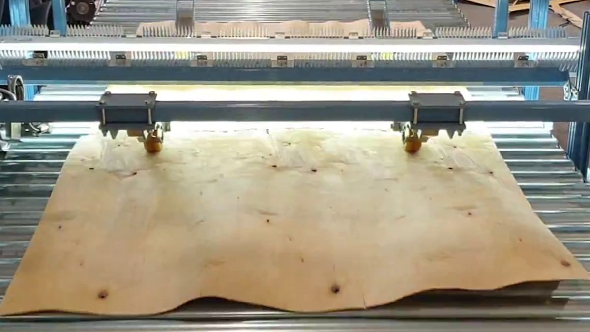 Basler Camera Support Optimized veneer sorting with Basler boost CXP-12 camera | Basler AG
