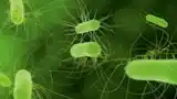 Automated microscopy