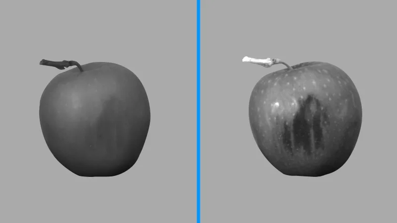 対象物の奥深くにある内部構造を可視化 － ‍近赤外（1000nm）と短波長赤外（1350nm）の比較：りんごの打痕